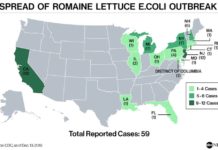 Центр CDC говорит о завершении вспышки E.Coli