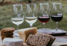 Сочетание сыра и красного вина может помочь против нейродегенерации