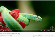 Xbox теперь может транслировать HDR-видео с YouTube