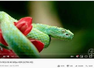 Xbox теперь может транслировать HDR-видео с YouTube