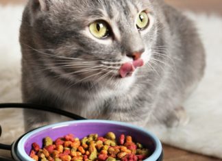 Midwestern Foods отзывает свои корма для питомцев в США