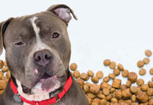 FDA и Midwestern Pet Foods произвели массовый отзыв своих продуктов