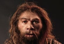 Магнитное поле Земли и неандертальцы: исследование