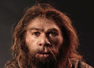 Магнитное поле Земли и неандертальцы: исследование