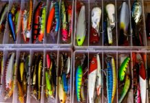 На Kickstarter представлены новые необычные приманки для рыб