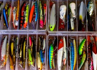 На Kickstarter представлены новые необычные приманки для рыб