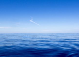 Течение Гольфстрима заметно замедлилось: исследование