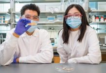 Создан уникальный пластырь из дуриана на основе гидрогеля