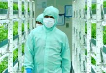 Ученые создали уникальный маркер стресса для посевов