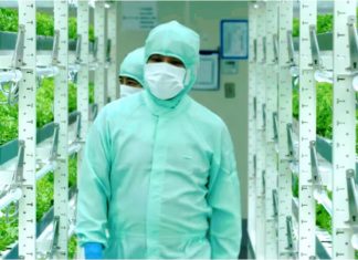 Ученые создали уникальный маркер стресса для посевов