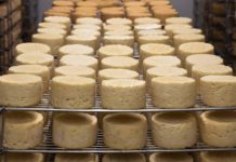 FDA рассказал об опасности твердых сыров в США в связи с листериоза