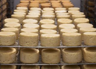 FDA рассказал об опасности твердых сыров в США в связи с листериоза