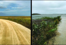 На южном побережье США наблюдается рекордное повышение уровня воды