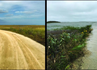 На южном побережье США наблюдается рекордное повышение уровня воды