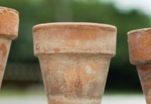 Археологи обнаружили древние медовые горшки в Нигерии