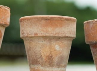 Археологи обнаружили древние медовые горшки в Нигерии