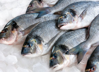 6 плюсов ловить рыбу на силиконовую приманку