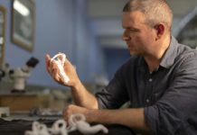 Ученые обнаружили нового динозавра-теропода