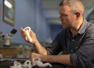 Ученые обнаружили нового динозавра-теропода