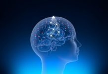 Из Neuralink ушёл соучредитель, поднявший в своё время компанию