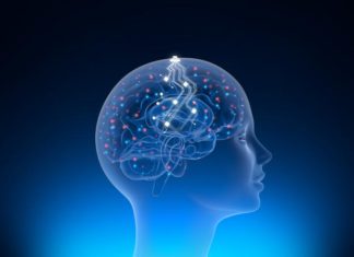 Из Neuralink ушёл соучредитель, поднявший в своё время компанию