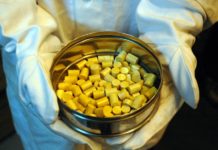 Китай разрабатывает безопасный и экологичный ториевый реактор