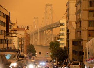 Дисплеи Nest Hub теперь будут показывать качество воздуха