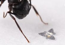 Крошечные летающие роботы встанут на стражу экологии