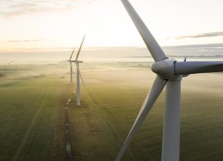 Apple, Amazon, Microsoft и Disney на самом деле не поддерживают инициативу по противодействию изменению климата