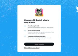 Twitter упрощает жизнь тестировщикам Birdwatch