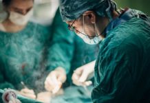 Хирурги смогли изменили гены свиньи, модифицировав её почки для людей