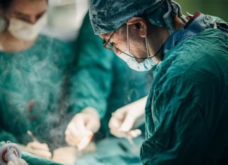 Хирурги смогли изменили гены свиньи, модифицировав её почки для людей