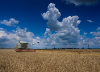 Сучасна українська спецтехніка для транспортування зерна